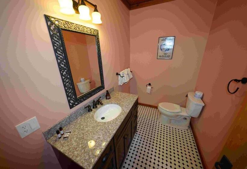 1 Bedroom Apartment Lake View, Ampersand Bay Resort