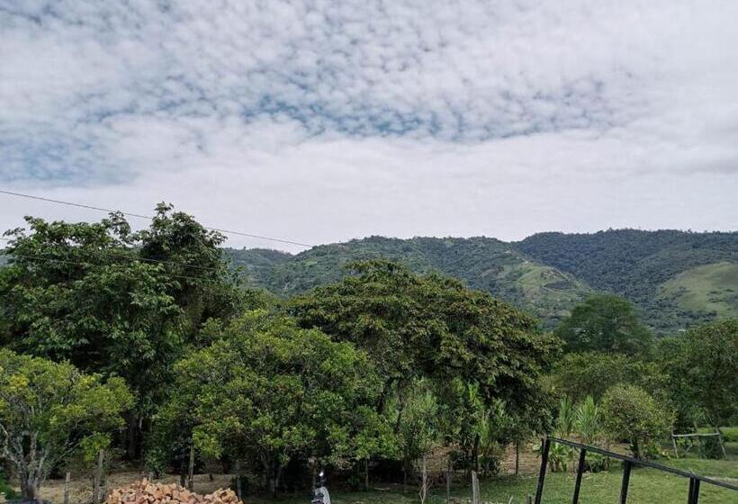 اتاق استاندارد, Yamboró
