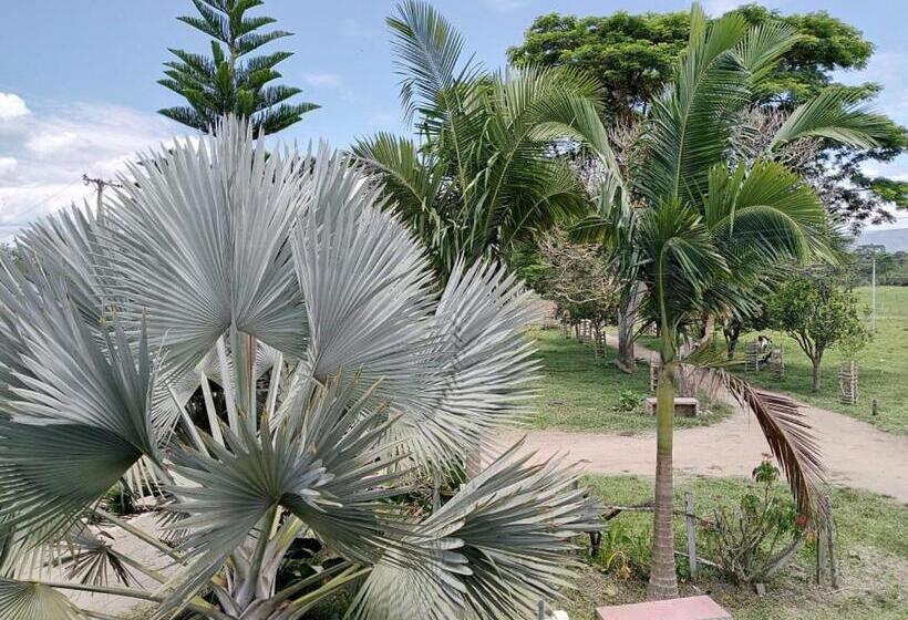 اتاق استاندارد, Yamboró