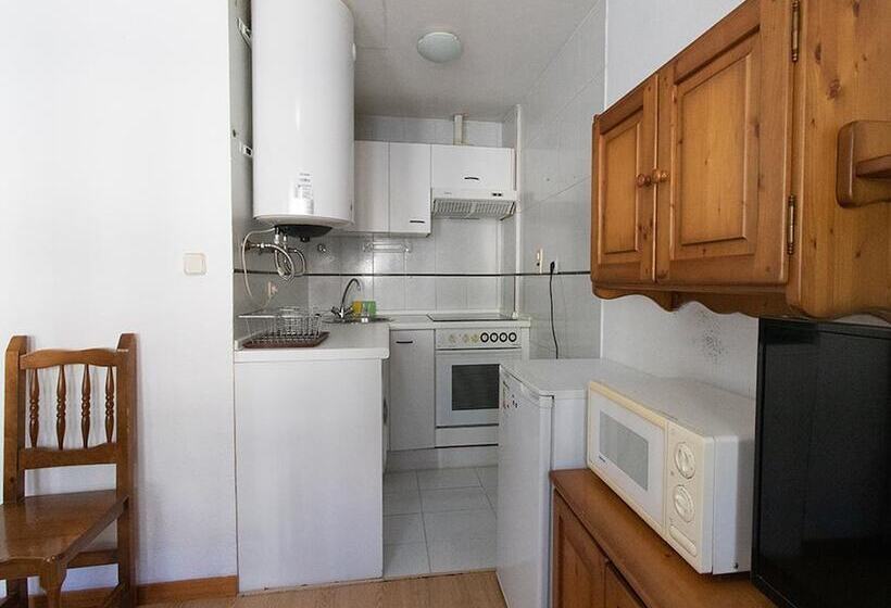 Appartement met 1 Slaapkamer, Apartamentos 3000 Formigal