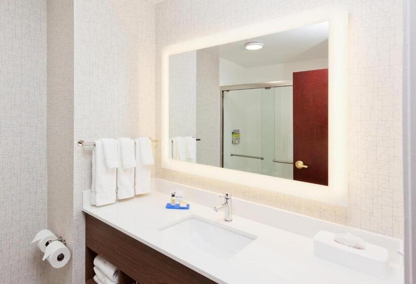 اتاق استاندارد با تخت بزرگ, Holiday Inn Express Hotel & Suites Dothan North, An Ihg