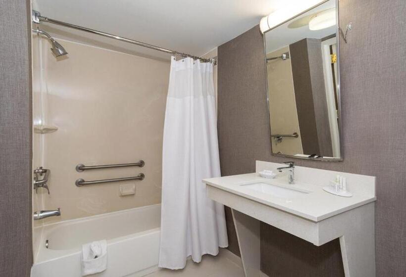 اتاق استاندارد با تخت بزرگ, Aloft Charleston Airport And Convention Center