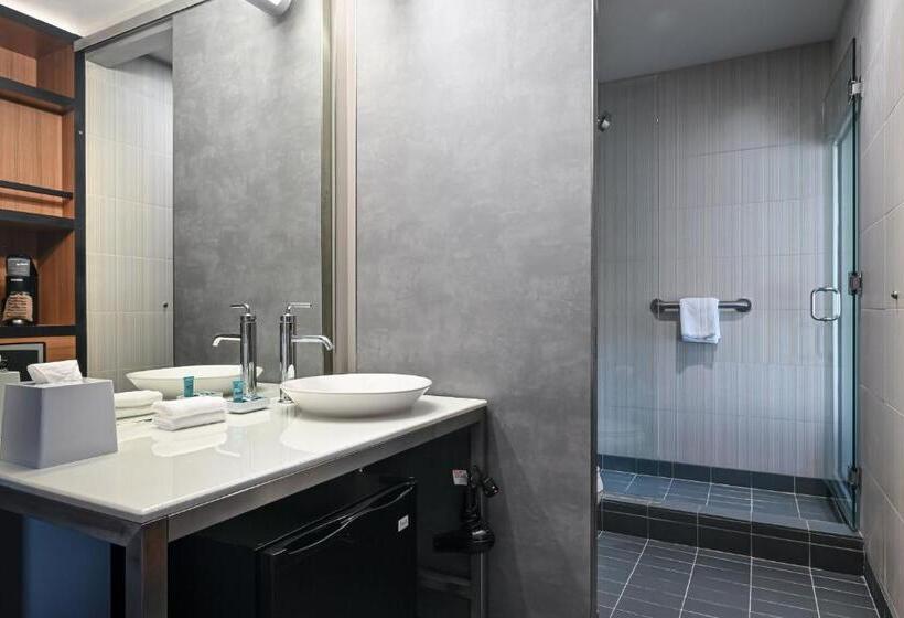 اتاق استاندارد برای معلولان, Aloft Charleston Airport And Convention Center