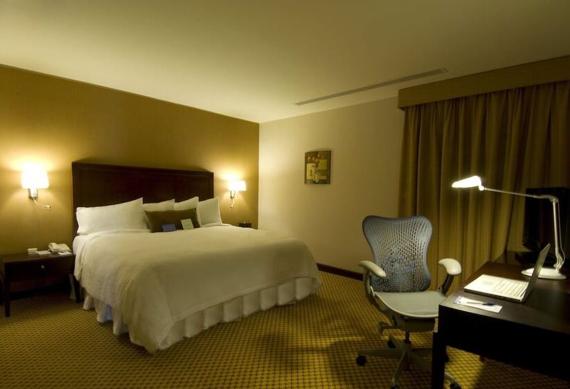 豪华房间, Hilton Garden Inn Riyadh Olaya