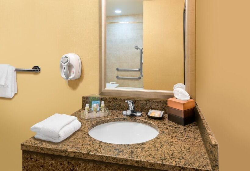 اتاق استاندارد, Holiday Inn Hotel & Suites Grand Junction Airport, An Ihg