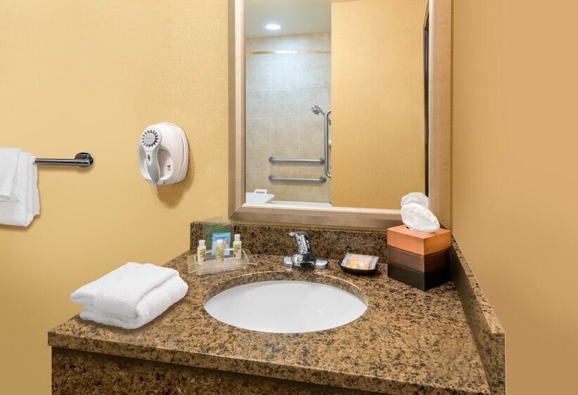 Standard Room, Holiday Inn  & Suites Grand Junctionairport