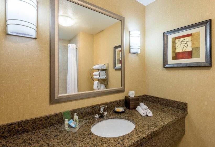 Suite, Holiday Inn  & Suites Grand Junctionairport