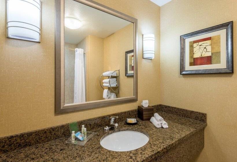 سوئیت برای معلولان, Holiday Inn Hotel & Suites Grand Junction Airport, An Ihg