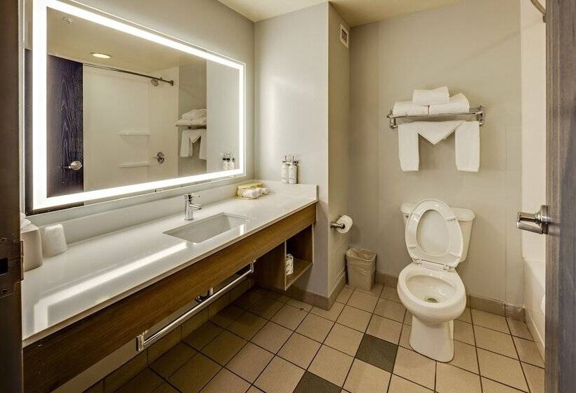اتاق استاندارد برای معلولان, Holiday Inn Express Hotel & Suites Ohio State University  Osu Medical Center, An Ihg