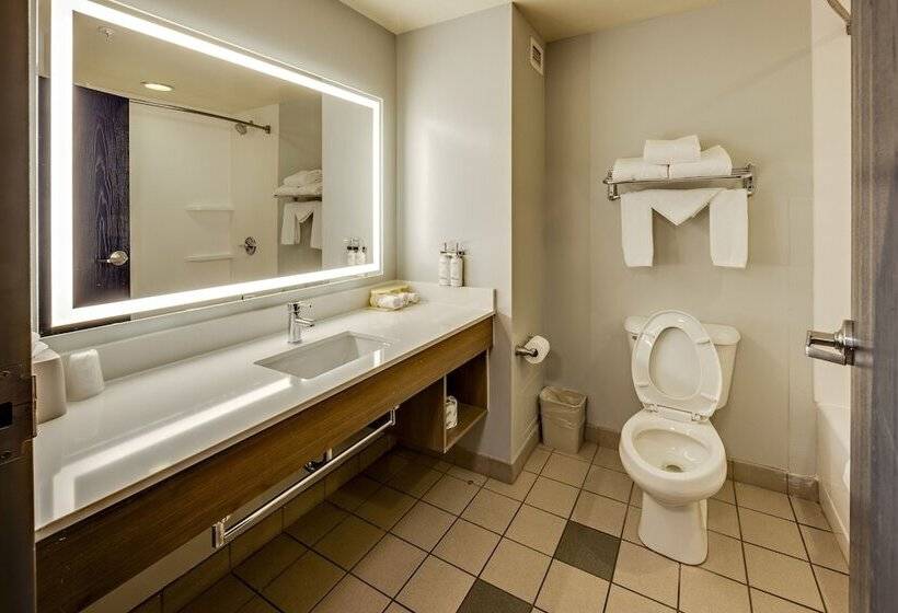 Standard Room Adapted for people with reduced mobility, Holiday Inn Express  & Suites Columbus University Area Ohio State University