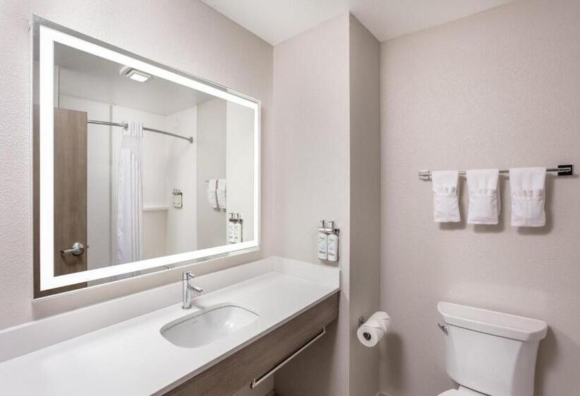 سوئیت 2 خوابه, Holiday Inn Express Kearney, An Ihg
