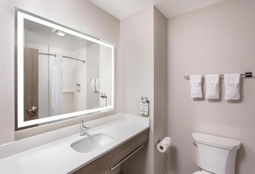 سوئیت 2 خوابه, Holiday Inn Express Kearney, An Ihg