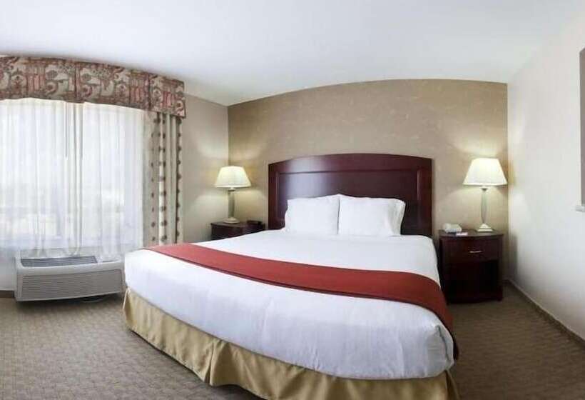 اتاق استاندارد با تخت دوبل, Holiday Inn Express  & Suites College Station