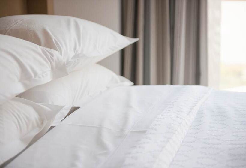 اتاق استاندارد, Premier Hotel O.r. Tambo