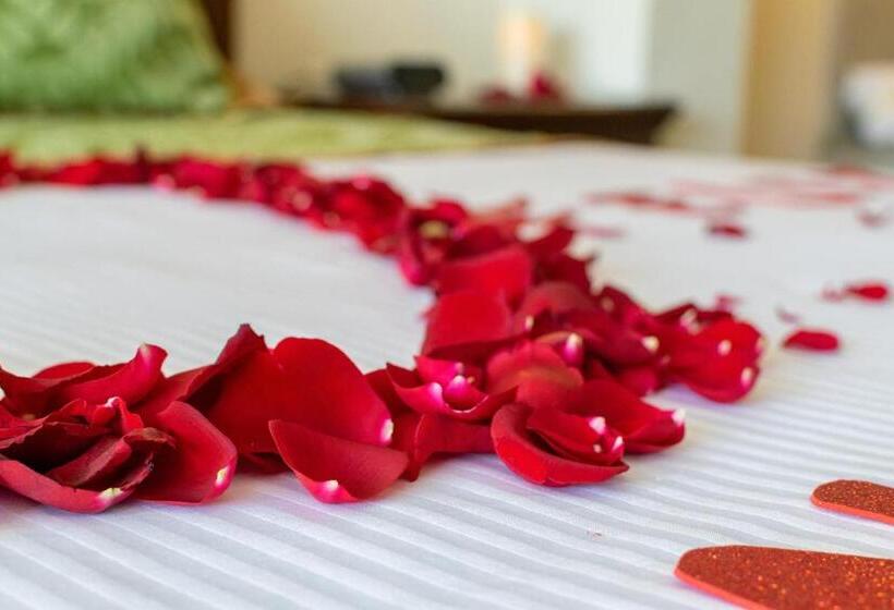 اتاق استاندارد با تخت بزرگ, San Carlos Tequisquiapan