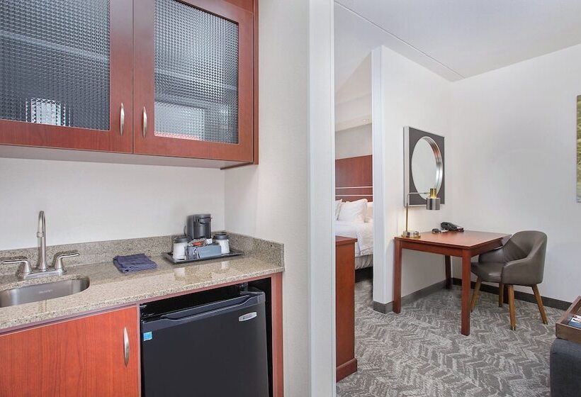 Standaard Studio, Springhill Suites Pigeon Forge