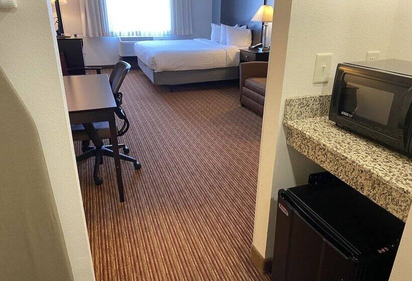 Standard Room Adapted for people with reduced mobility, Wingate By Wyndham State Arena Raleigh/cary