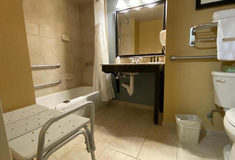 اتاق استاندارد با تخت بزرگ برای معلولان, Wingate By Wyndham State Arena Raleigh/cary