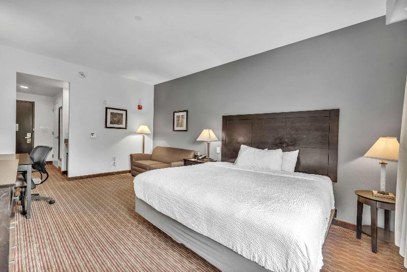 اتاق استاندارد با تخت بزرگ, Wingate By Wyndham State Arena Raleigh/cary