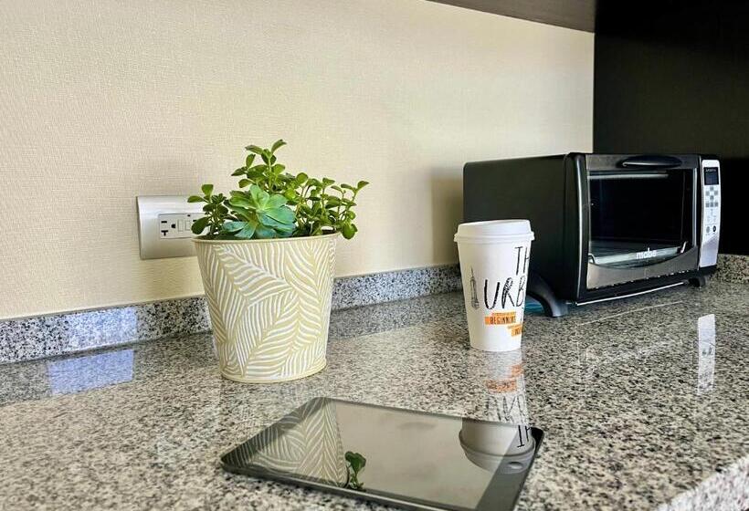 اتاق لوکس, Stadia Suites Mexico City Santa Fe