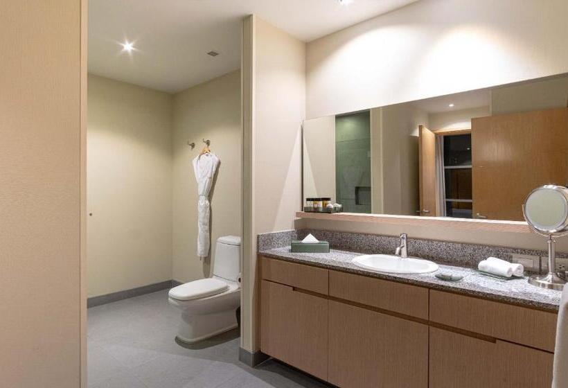 مجموعه ویستا شهر, Stadia Suites Mexico City Santa Fe