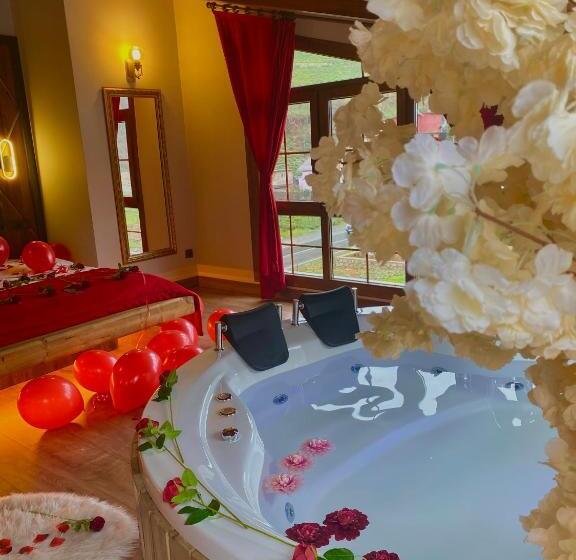 اتاق استاندارد با تخت بزرگ, Didi Butik Otel