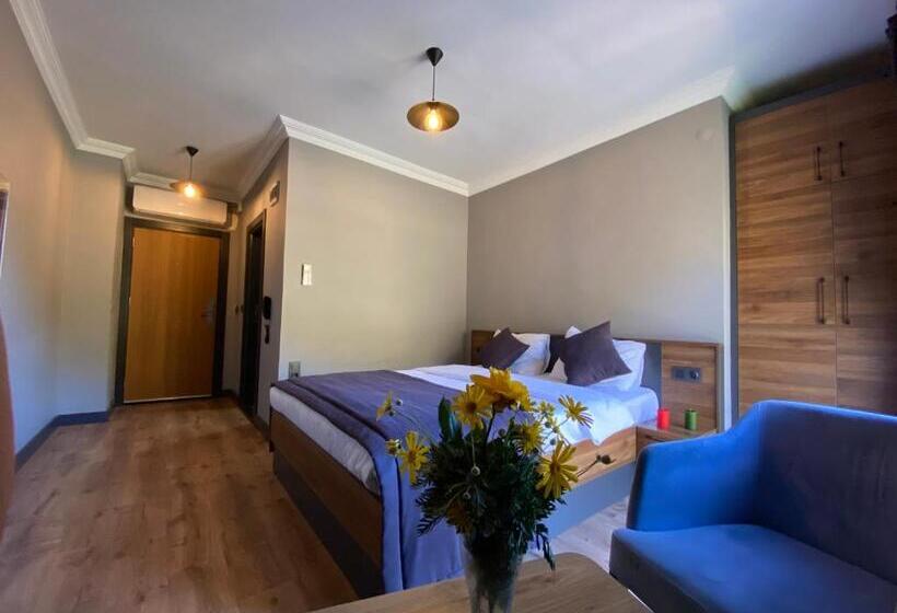 اتاق استاندارد با چشم‌انداز دریاچه, Didi Butik Otel