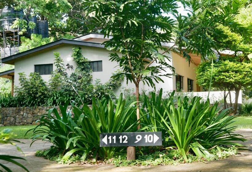 اتاق استاندارد با چشم‌انداز باغ, Arusha Villa Karamu Coffee Estate