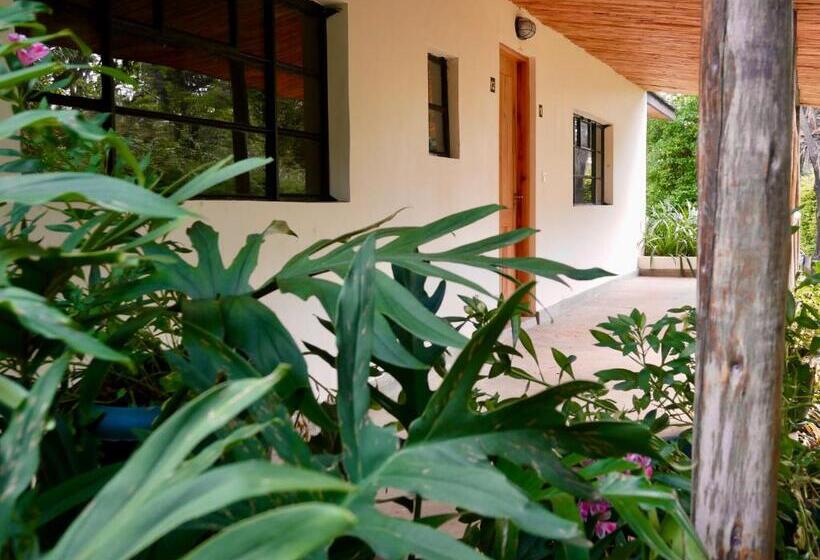 اتاق استاندارد با چشم‌انداز باغ, Arusha Villa Karamu Coffee Estate