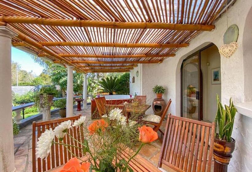 اتاق استاندارد, Bollinger Guest House