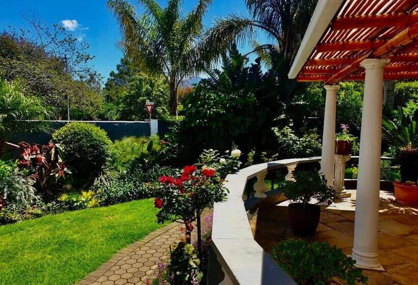 اتاق استاندارد, Bollinger Guest House