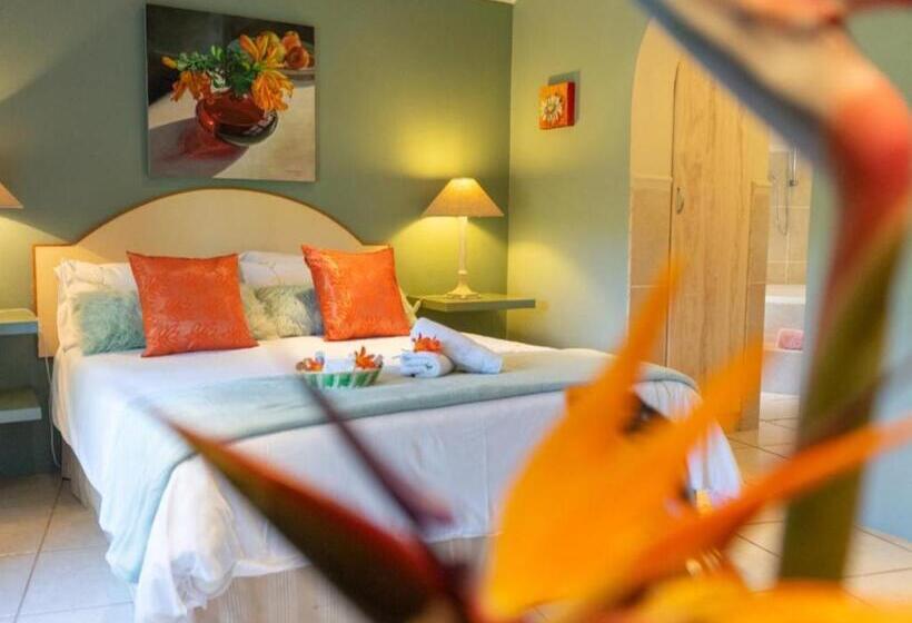 اتاق استاندارد با چشم‌انداز باغ, Bollinger Guest House