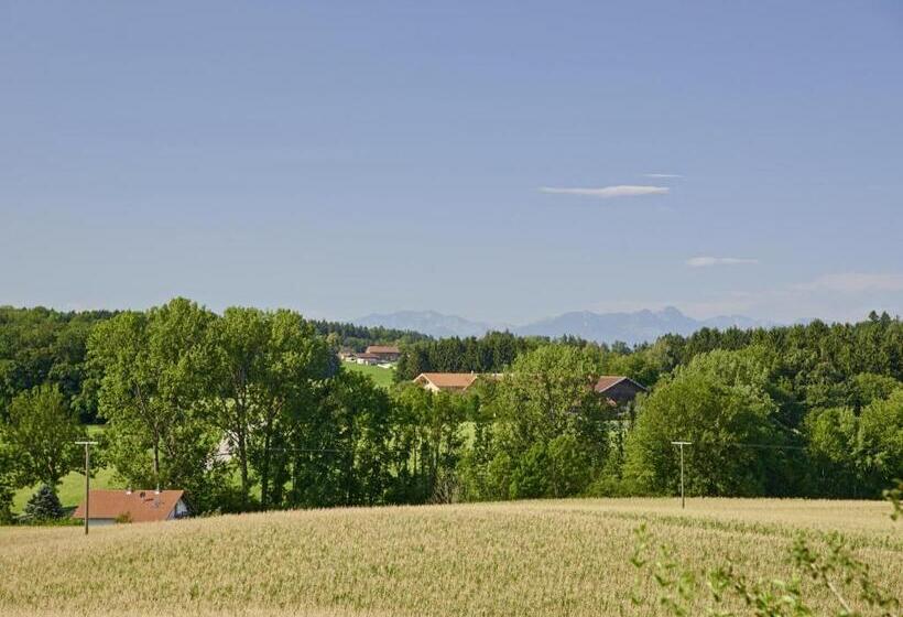 Апартаменты 1 Спальня с Балконом, Ferienhof Dirnberg