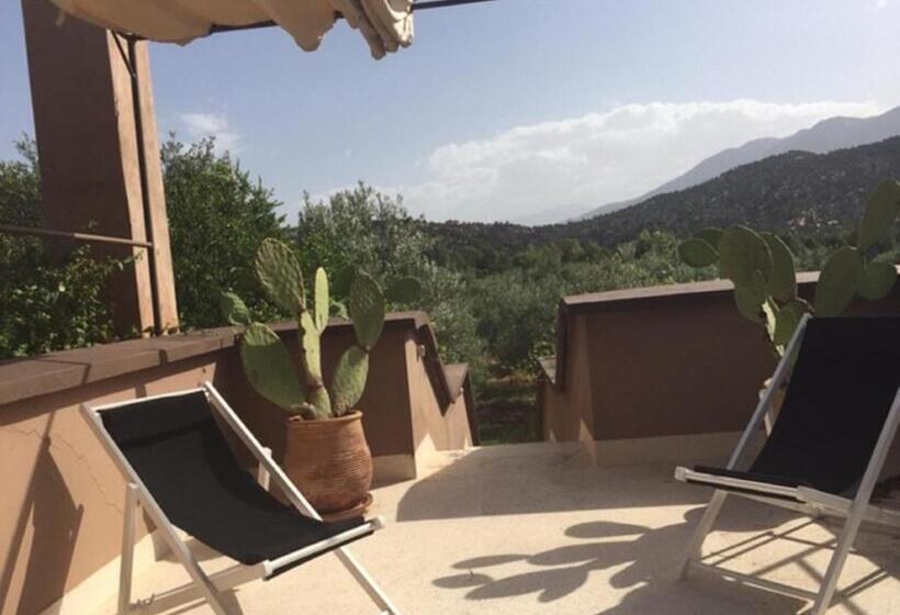 سوییت جونیور, Domaine Malika   Adults Only