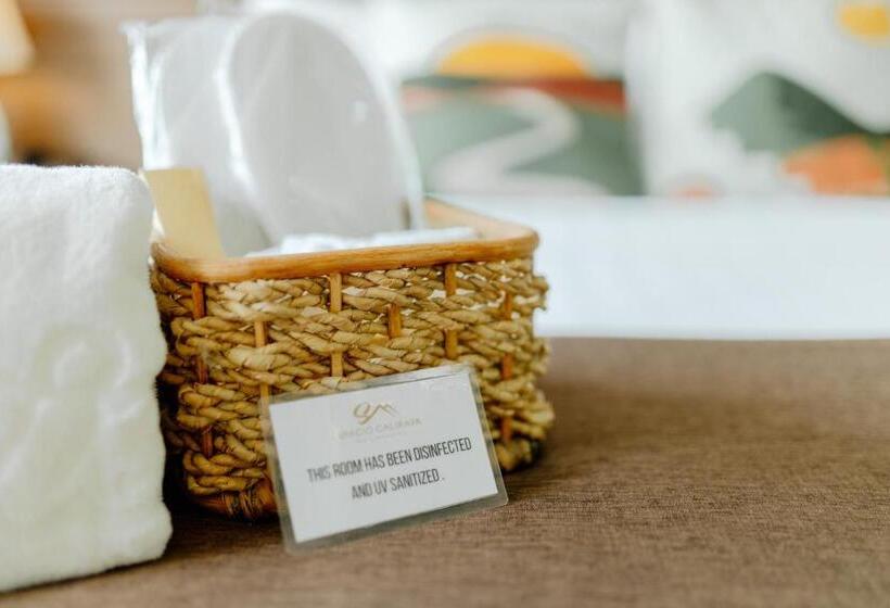 اتاق استاندارد با چشم‌انداز باغ, Spacio Caliraya Bed & Breakfast