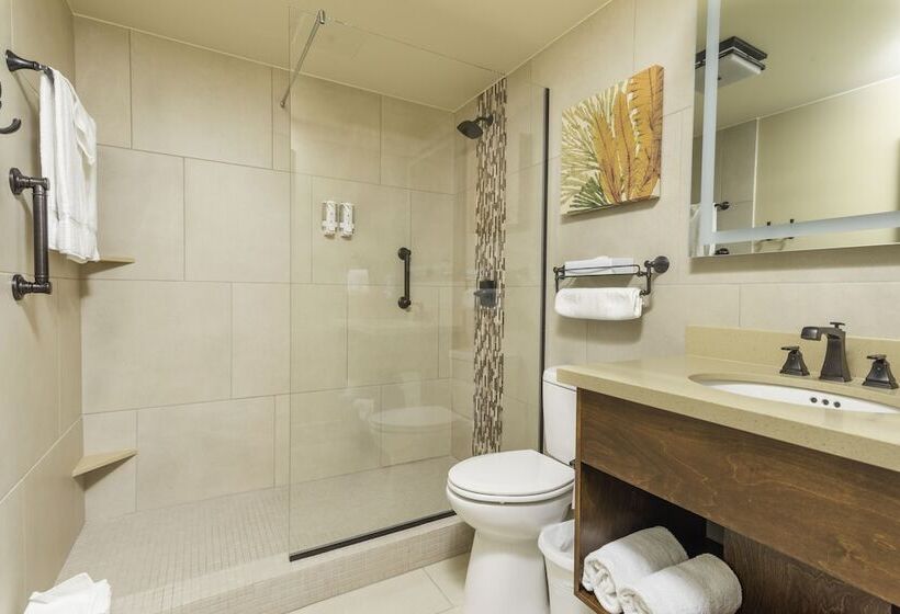 سوئیت پریمیوم, Eagle Aruba Resort