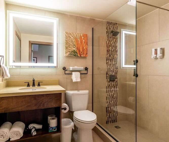 سوئیت پریمیوم 2 خوابه, Eagle Aruba Resort