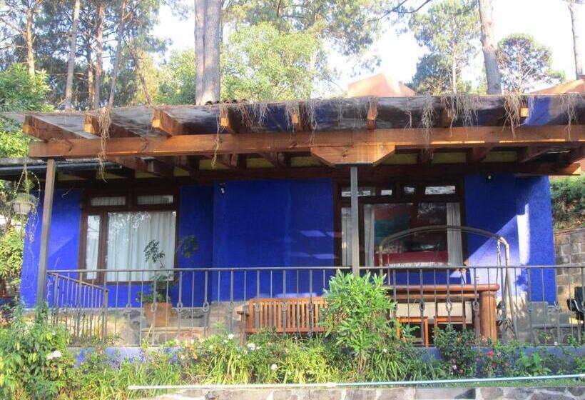 سوئیت با تخت بزرگ, Casa Valle