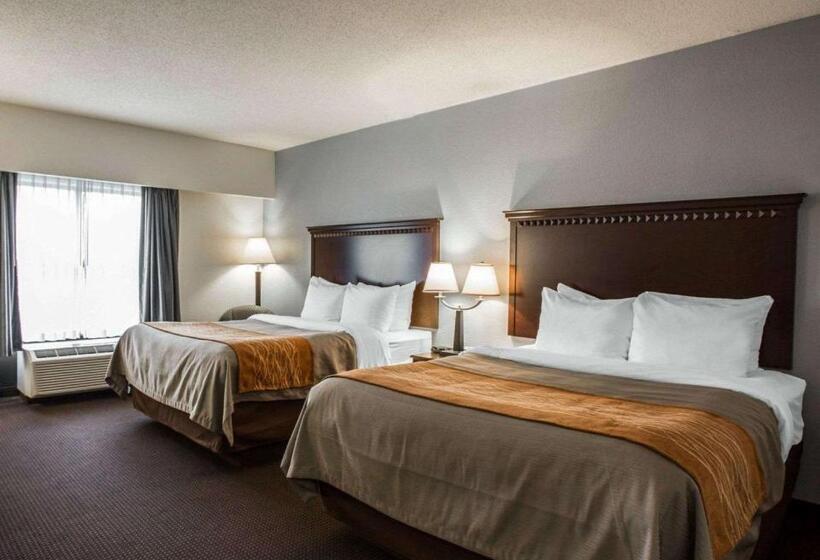 اتاق استاندارد برای معلولان, Comfort Inn & Suites Lumberton Central I 95