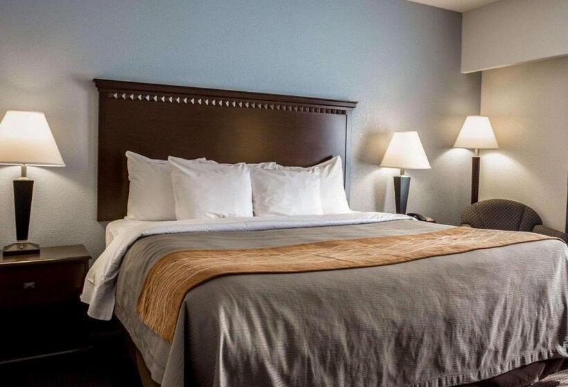 اتاق استاندارد با تخت بزرگ, Comfort Inn & Suites Lumberton Central I 95