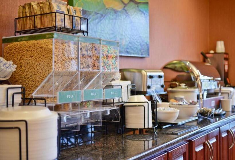 اتاق استاندارد, Comfort Inn & Suites Lumberton Central I 95