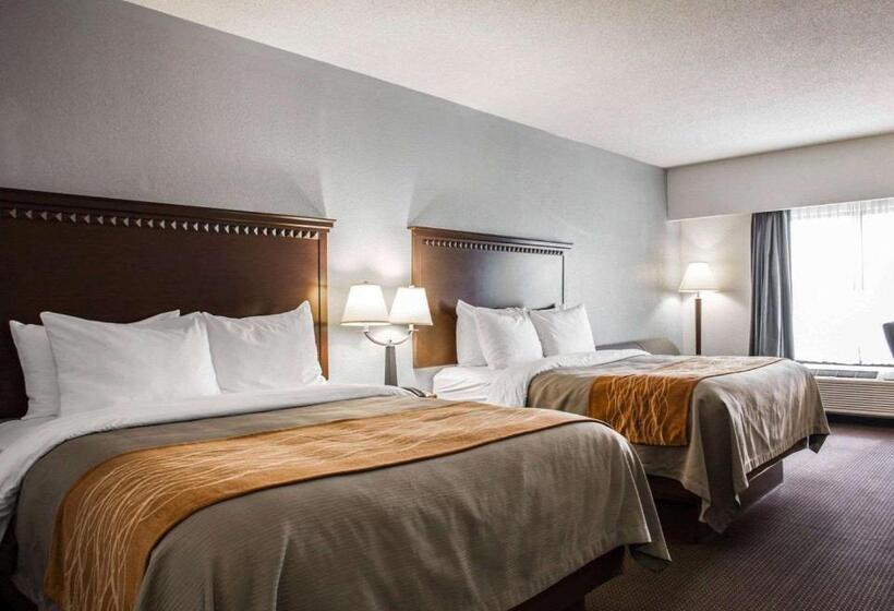 اتاق لوکس, Comfort Inn & Suites Lumberton Central I 95