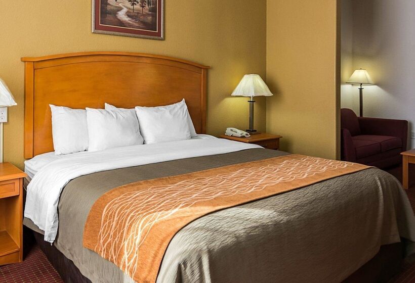 Suite, Comfort Inn & Suites Chesapeake  Portsmouth