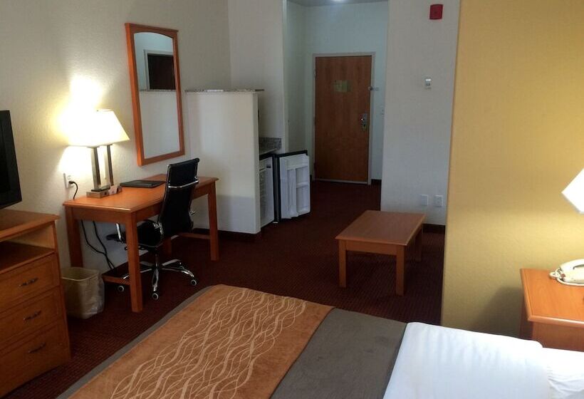 Suite, Comfort Inn & Suites Chesapeake  Portsmouth