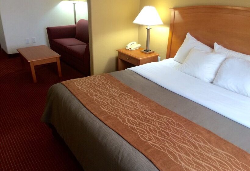 Suite, Comfort Inn & Suites Chesapeake  Portsmouth