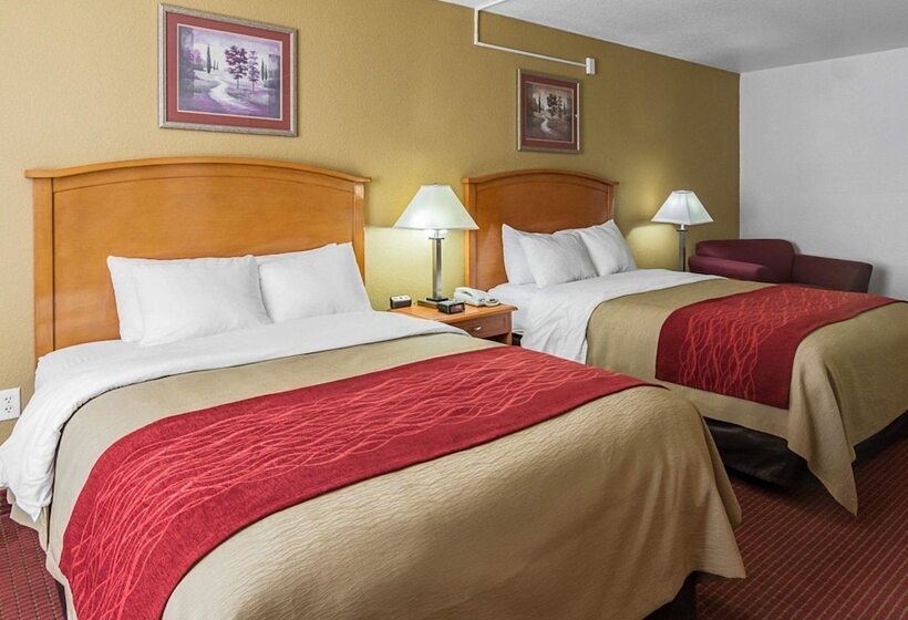 Suite, Comfort Inn & Suites Chesapeake  Portsmouth