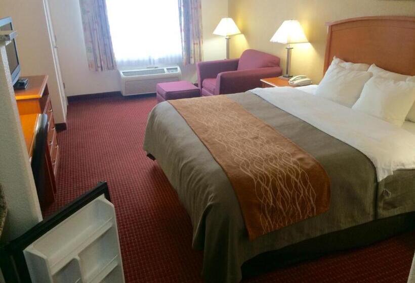 اتاق استاندارد با تخت بزرگ, Comfort Inn & Suites Chesapeake  Portsmouth