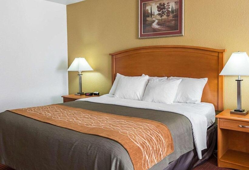 سوئیت با تخت بزرگ, Comfort Inn & Suites Chesapeake  Portsmouth