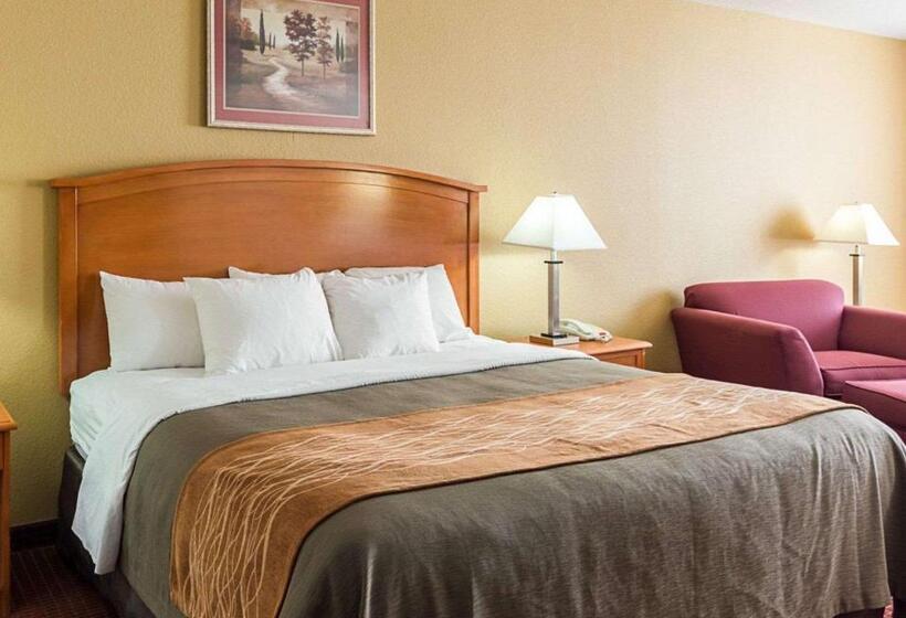 سوئیت با تخت بزرگ, Comfort Inn & Suites Chesapeake  Portsmouth