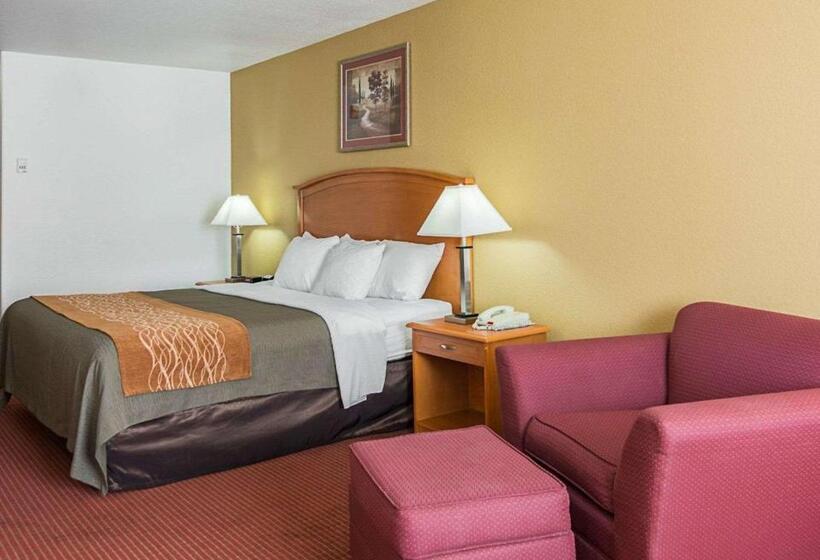 سوئیت با تخت بزرگ, Comfort Inn & Suites Chesapeake  Portsmouth